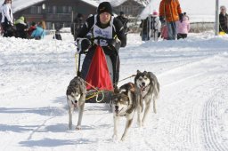 Lenk 2012 SM